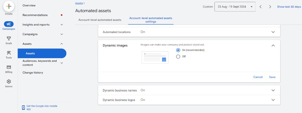 Opt in to Google Dynamic Ad Extensions