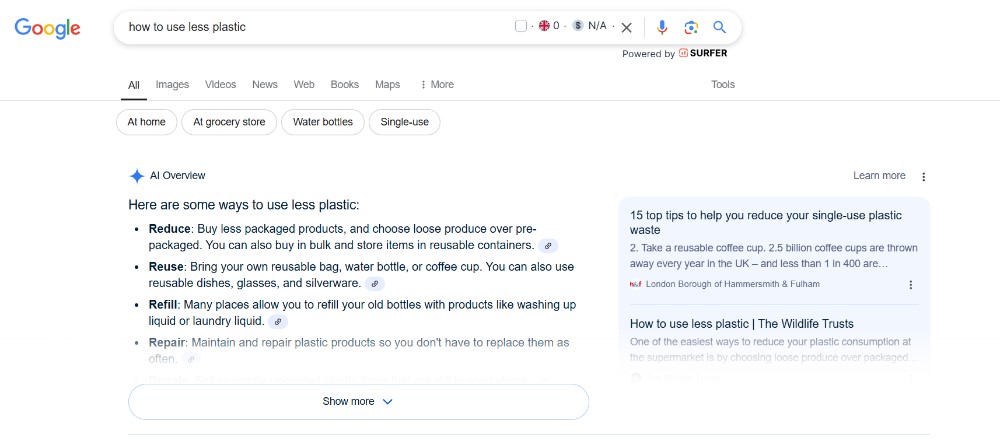 AI snippet on Google Search